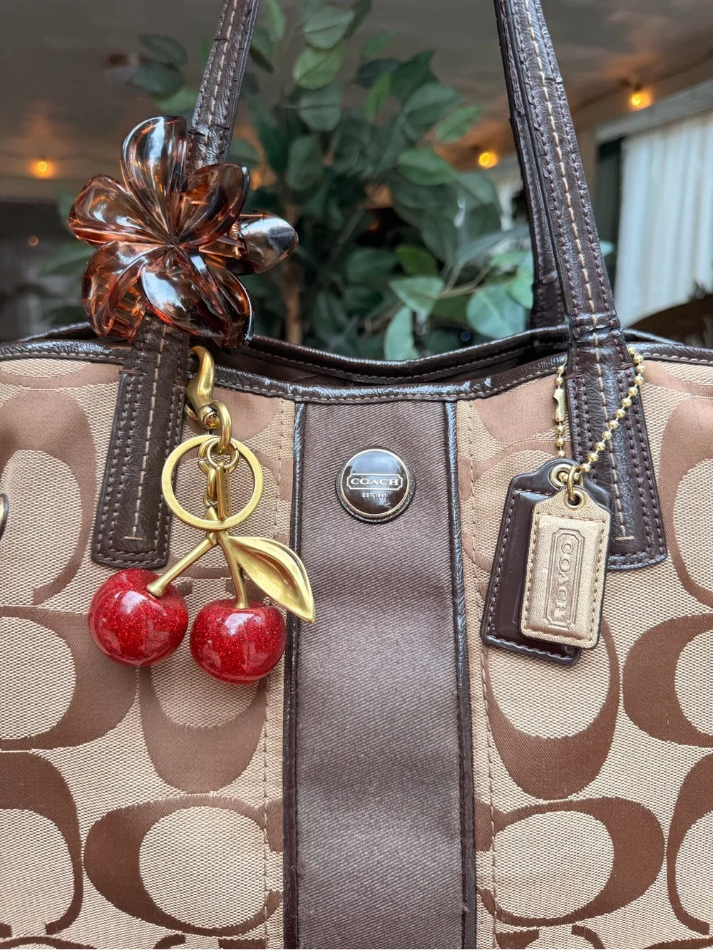 Coach Signature Stripe Carryall tote bag
